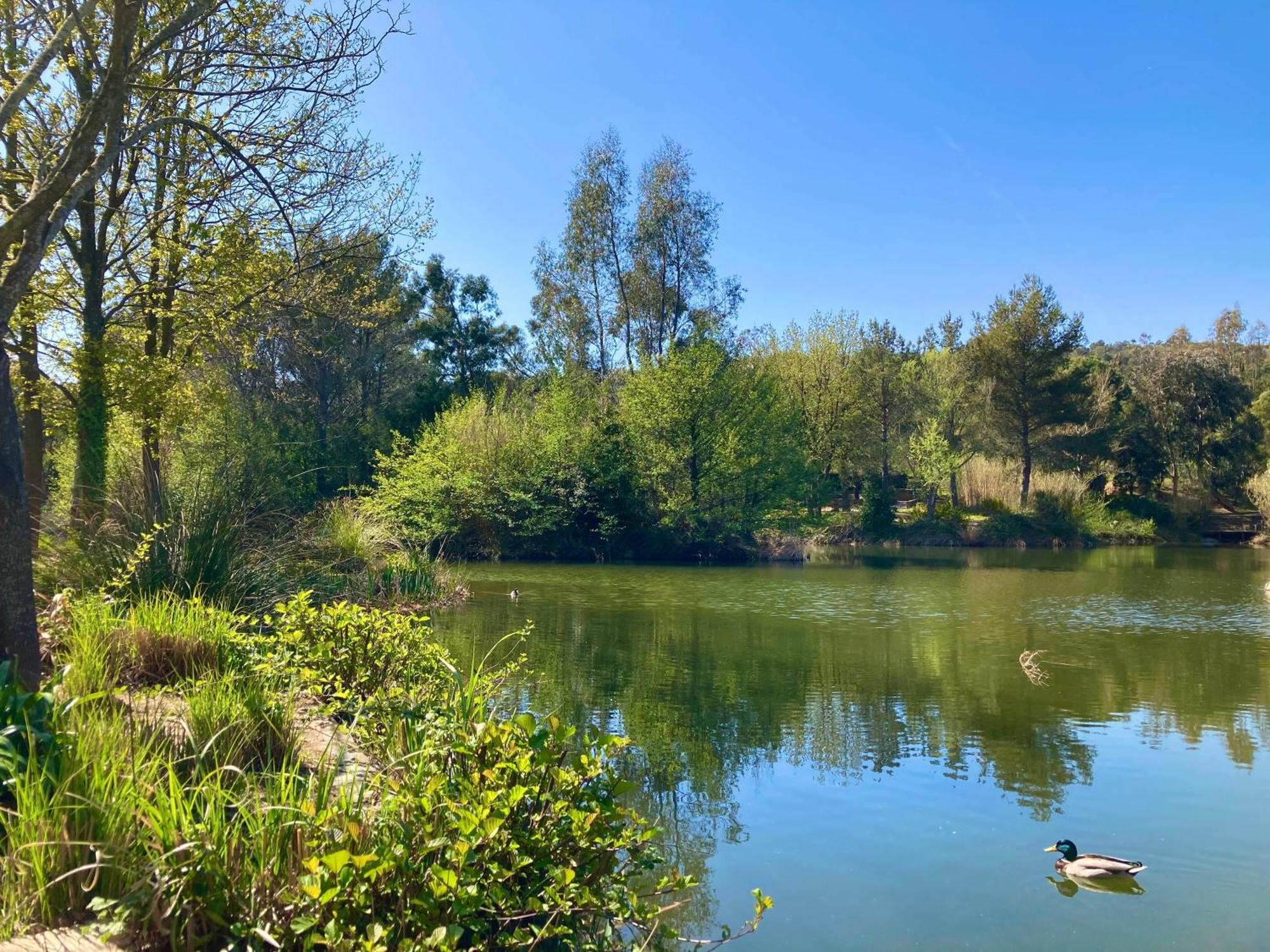 Les Restanques Vue Mer Pressoir 3131 Grimaud Kültér fotó
