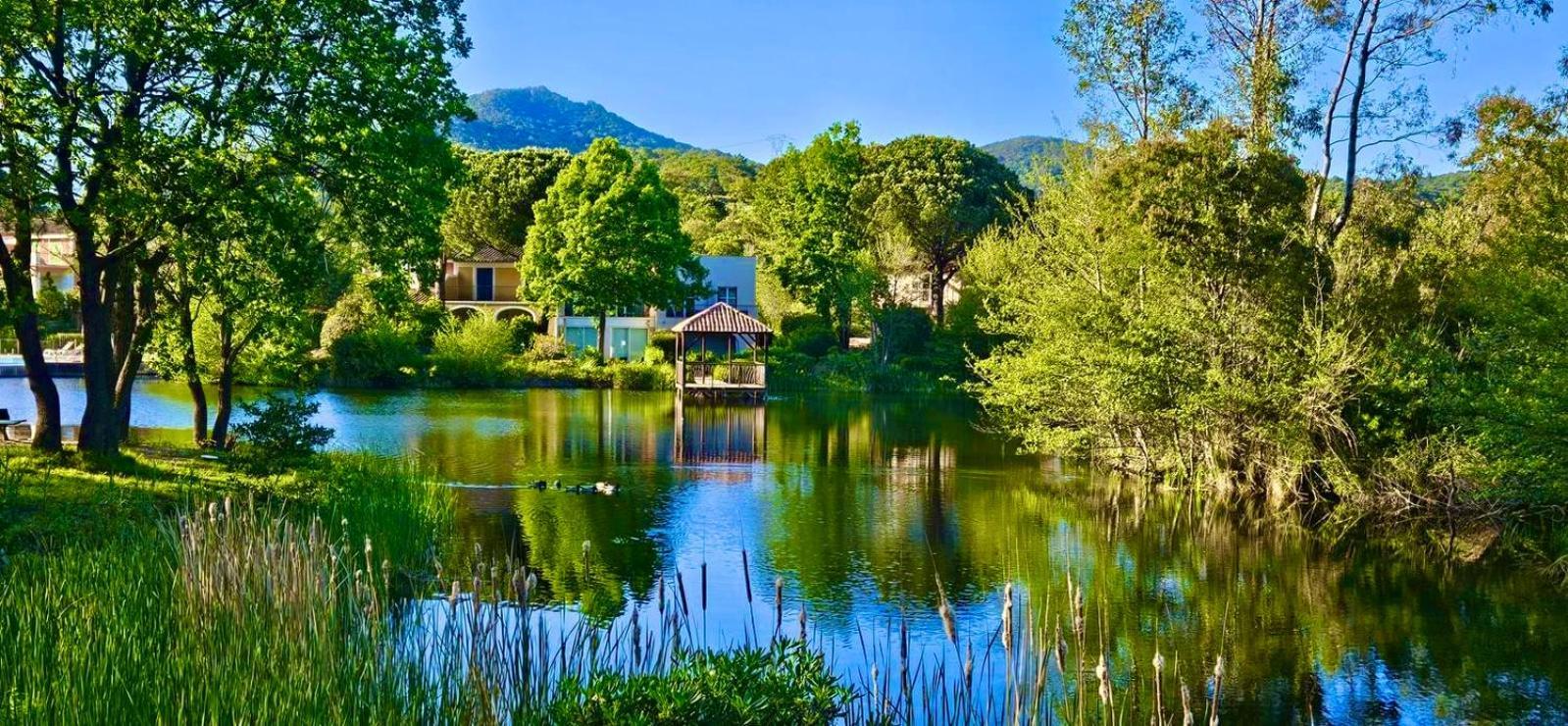 Les Restanques Vue Mer Pressoir 3131 Grimaud Kültér fotó